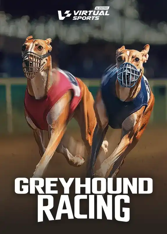 Greyhound Racing